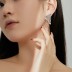 Waterdrop Zirconia Tassel Stud Earring 40200417