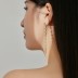 Waterdrop Zirconia Tassel Party Stud Earring 40200419