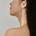 Waterdrop Zirconia Tassel Party Stud Earring 40200419