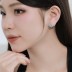 Blooming Flower Zirconia Stud Earring 40200422