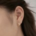 Bean Waterdrop Zirconia Stud Earring 40200505