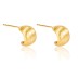 Brush Polish Curve Stud Earring 40400037