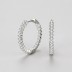 Shiny Zirconia Hoop Earring 60200126