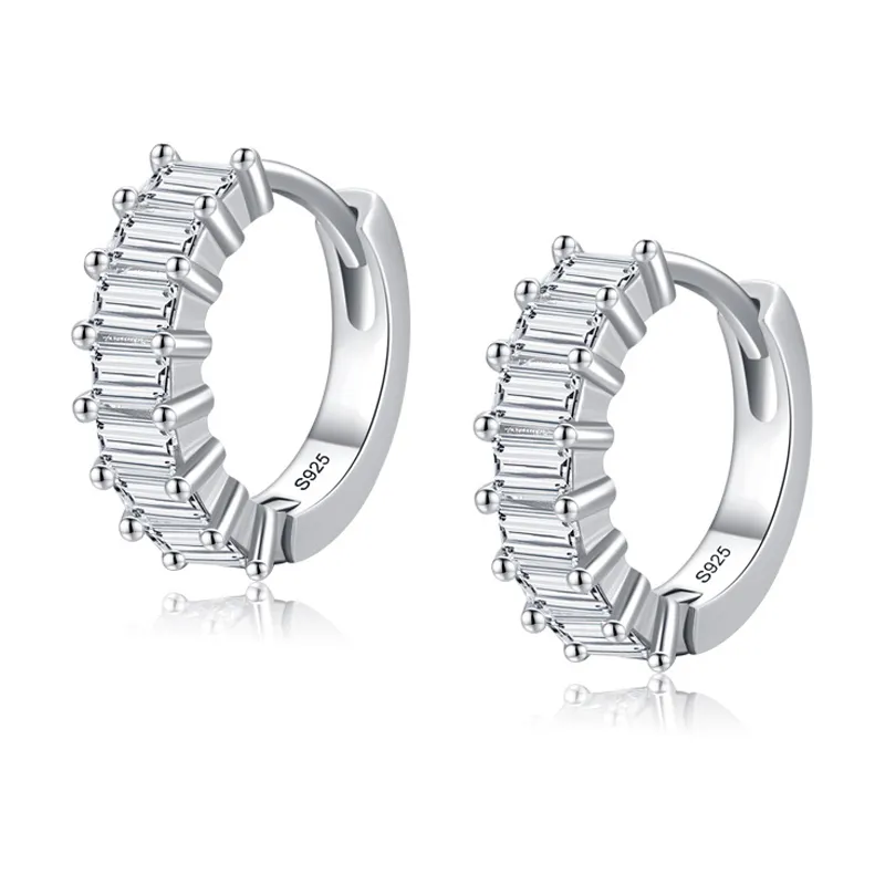 Shiny Cube Sugar Zirconia Hoop Earring 60200128