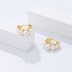 Elegant Shell Beads Zirconia Hoop Earring 60200144