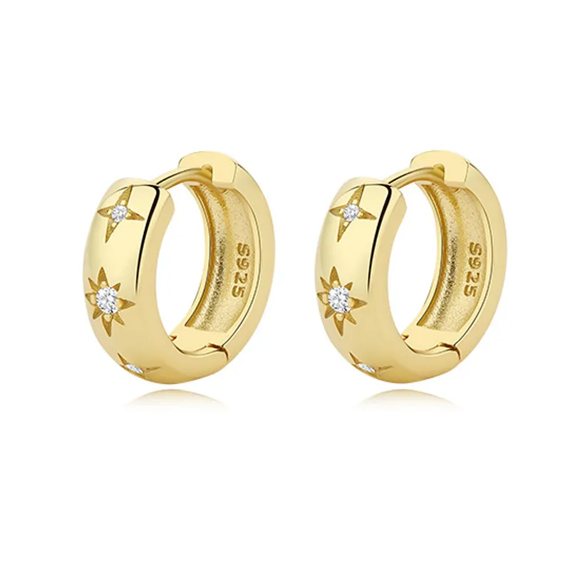 Sparkle Star Zirconia Hoop Earring 60200199