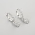 Zirconia Heart Dangle Hoop Earring 60300109