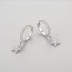 Zirconia Star Dangle Hoop Earring 60300110