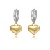 Two Tones Heart Charm Hoop Earrings 60300145