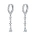 Lovely Tassel Zirconia Charm Hoop Earrings 60300160