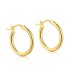 Minimalist Round Frensh Lock Hoop Earring 60400003