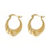 Satin Zirconia French Lock Hoop Earring 60400007