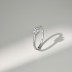 925 Sterling Silver Zirconia Flower Band Ring 70100204